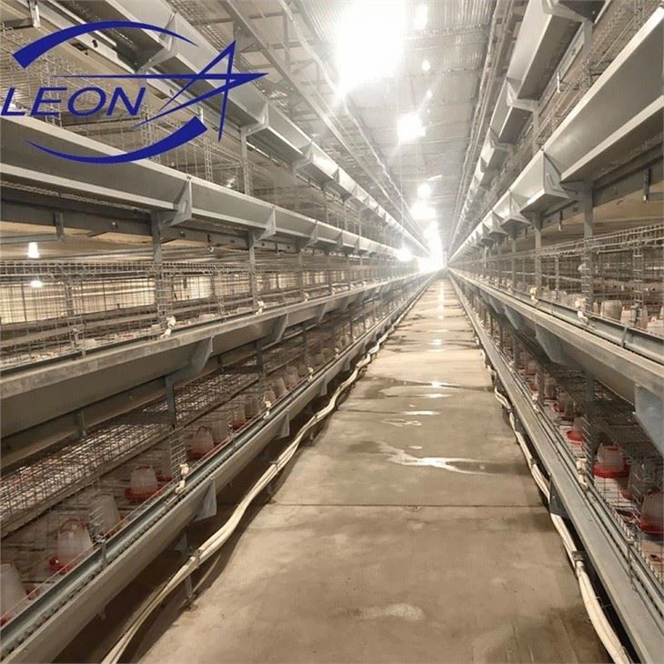 broiler cage 1