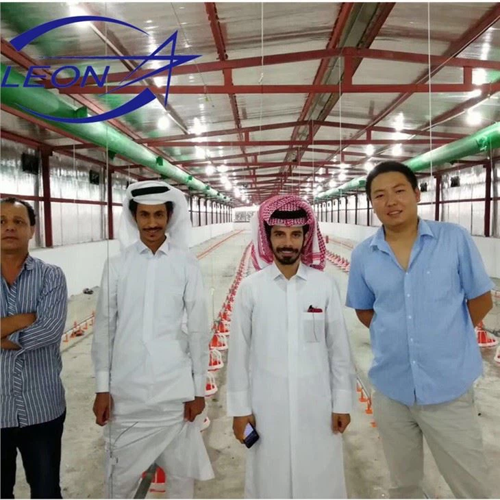 Automatic Layer Poultry Cages Equipment