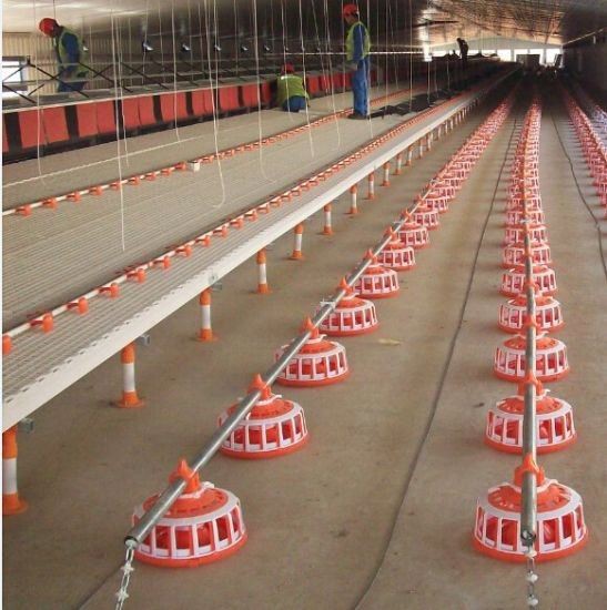 Durable Broiler Pan Feeding System
