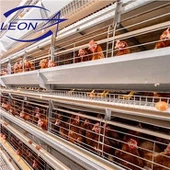 Dispositifs pour oiseaux de volaille de système de cages