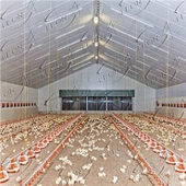 Prix de l’équipement de poulet de chair de la ferme avicole