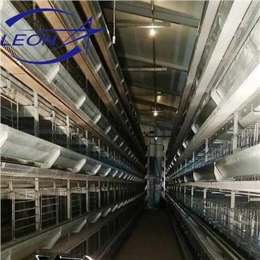 Élévation de cages à plusieurs niveaux