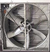 Nouveau modèle Munter Fan