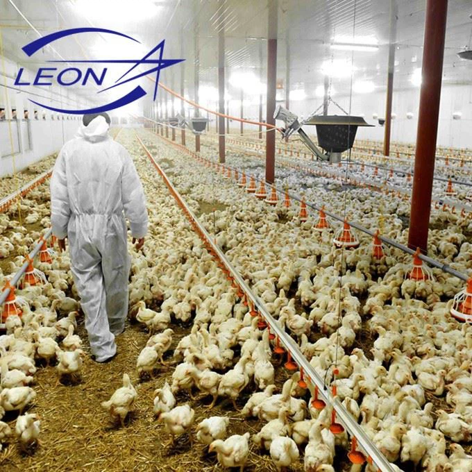 The Latest Model Of Fully Automated Broiler Pan Feeding System in 2021 The Latest Model Of Fully Automated Broiler Pan Feeding System in 2021