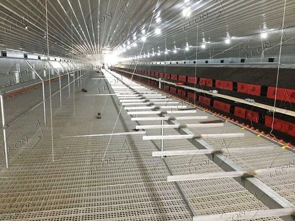 White Plastic Slats For Chicken