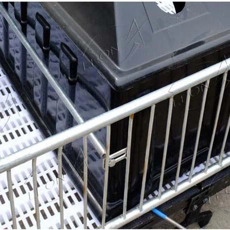 Leon Pig Farrowing Crate
