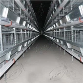 Cages de poulet de couche de type série H
