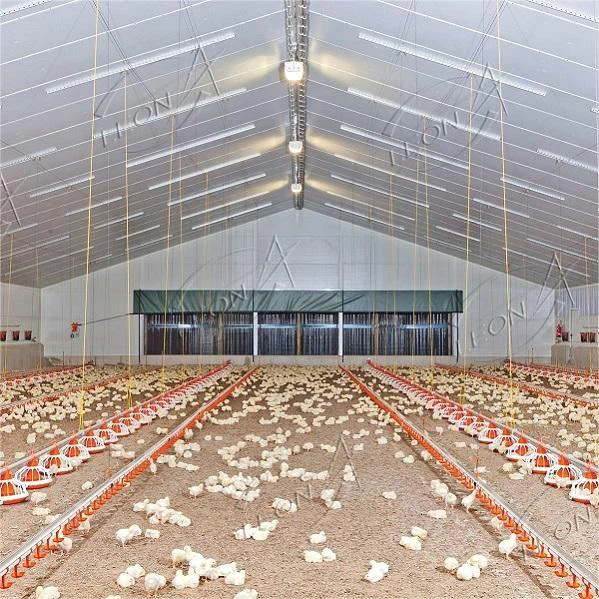 Système de surélévation du sol pour poulets de chair