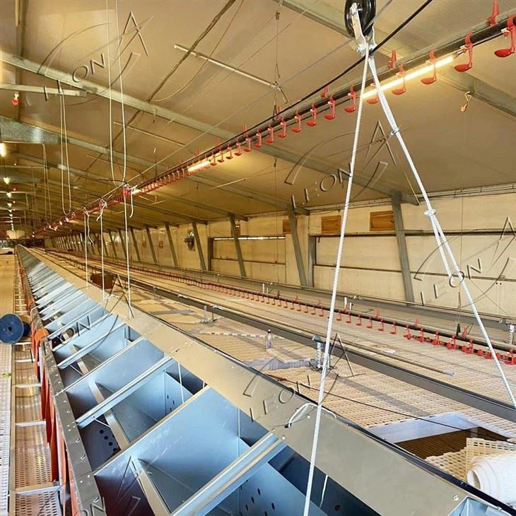 Nichoir automatique pour poules reproductrices