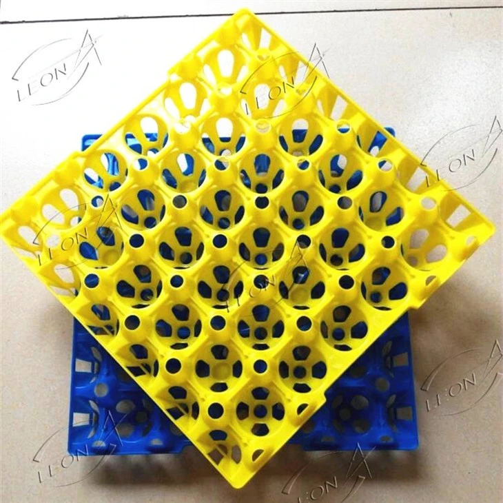 Plastic Egg Tray Made in China Plastic Egg Tray Made in China