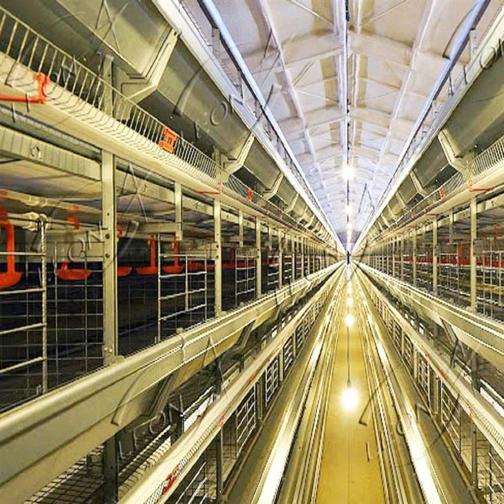 Poultry Farm H Type Layer Chicken Cage Poultry Farm H Type Layer Chicken Cage